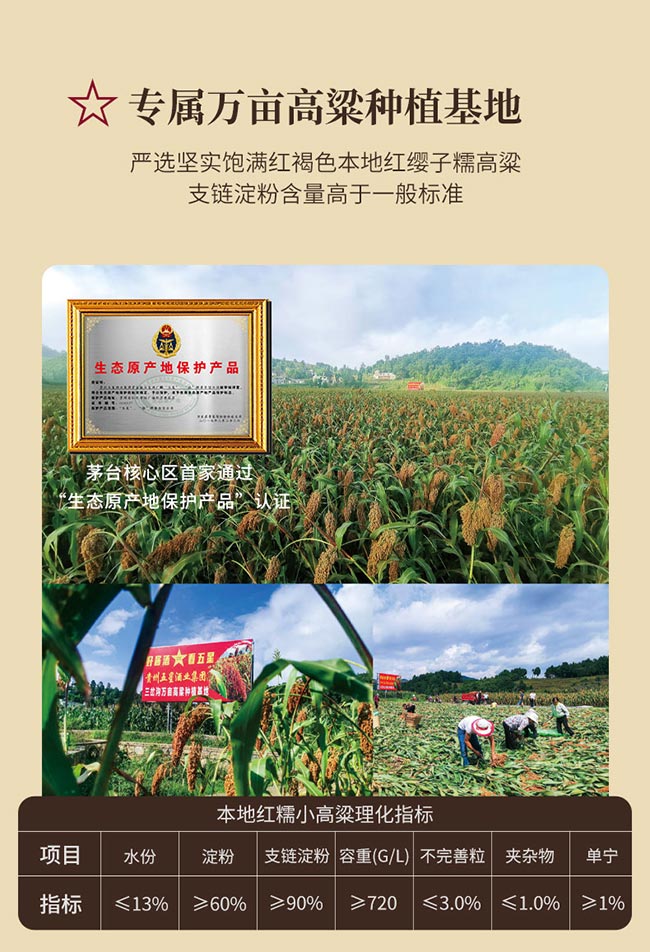 國(guó)誼樓雙龍會(huì) 醬香型白酒【53° 500ml】